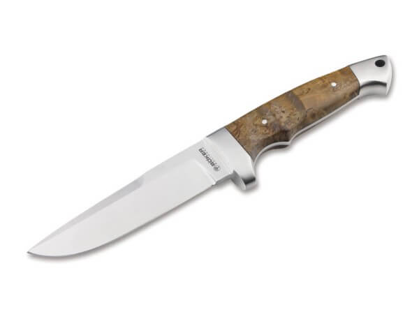 Fixed Blade Knives, Brown, Fixed, 440C, Curly Birch Wood