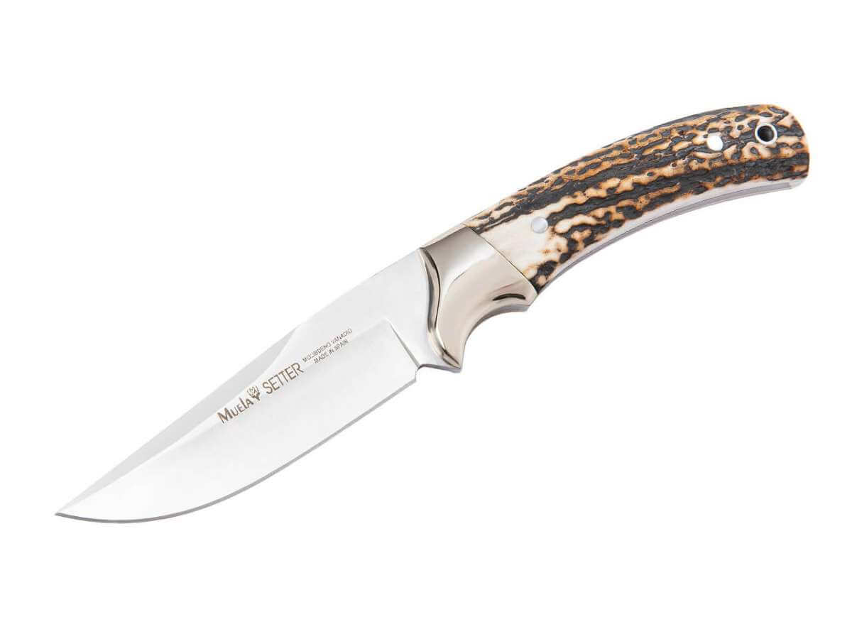 muela-setter-11a-