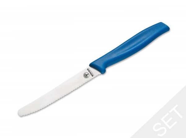 Kitchen Knife, Blue, Fixed, Synthetic